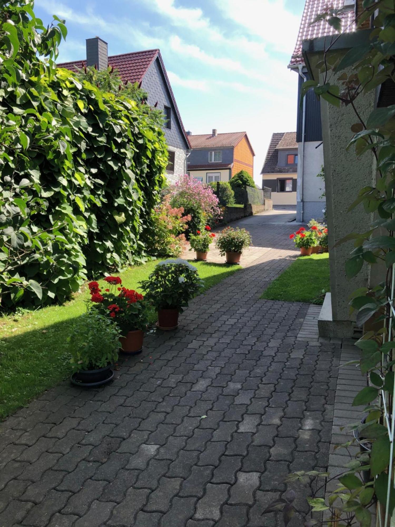 Harzquerbahnblick Appartement Benneckenstein Buitenkant foto