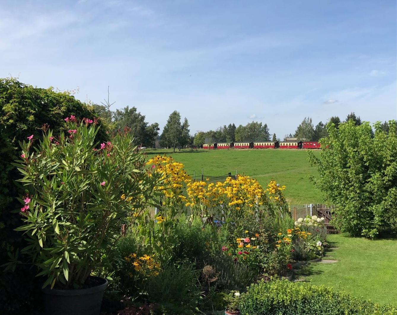 Harzquerbahnblick Appartement Benneckenstein Buitenkant foto