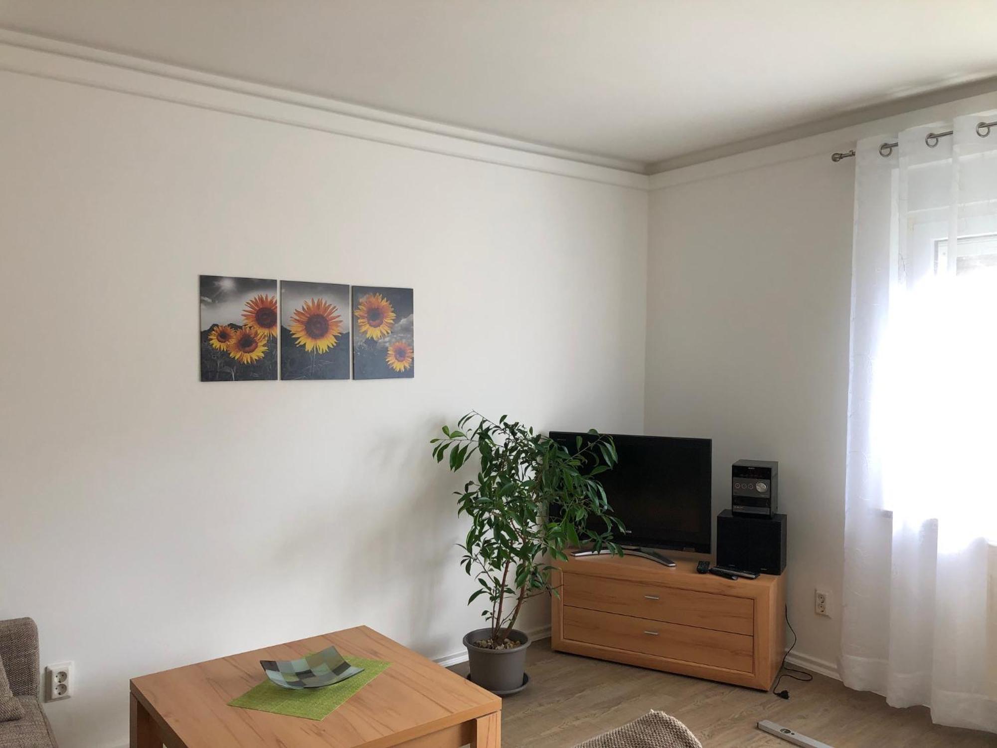 Harzquerbahnblick Appartement Benneckenstein Buitenkant foto
